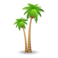 Sri Kalpataru Exports and Imports