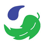 Polypropylene Homopolymer Sheet