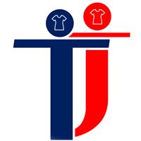 Ladies Casual Blouse