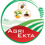 M/s Ekta Honey Farm