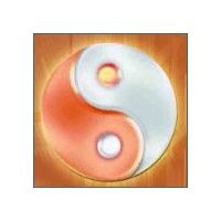 Industrial Elevators