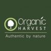 Organic Face Wash