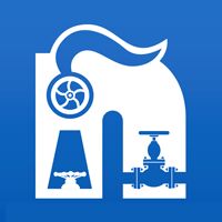 Bronze Sight Glass Single Window