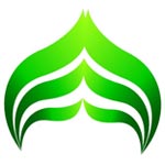 Kantha Stitch Blouse