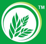 harvest premium corn silage bales