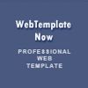 Web Template Now
