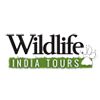 Wildlife Tours