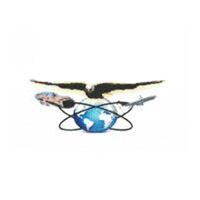 Internatioanal Freight Forwarding