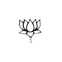 Tissue Culture Banana