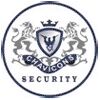 Bank Security Services