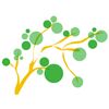 Health Care Consultants