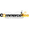 Ecommerce Web Designing Services