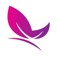 Currency Counting Machine