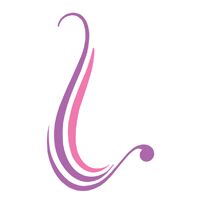 Embroidered Saree Blouse