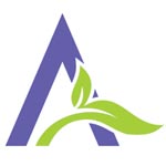 Artificial Jewellery Set