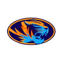 CCTV Surveillance Systems