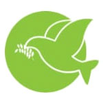 ISO Certification Services