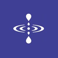 1121 White Sella Rice