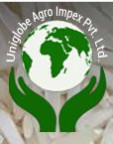Uniglobe Impex Pvt Ltd