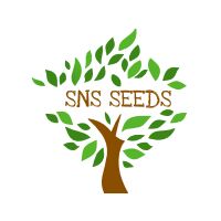 1121 White Sella Rice