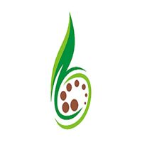 Wordpress Website Development Service