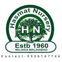 Malihabad Hasmat Nursary
