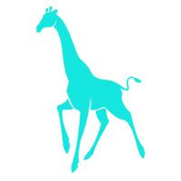 Open Source Web Development Services