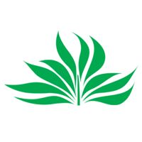 Wellness Program Services