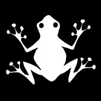 Wedding Photographer