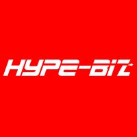 HYPE BIZ PRIVATE LIMITED