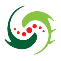 Wedding Planning Services