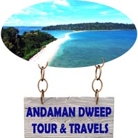 Travel Insurance Agents