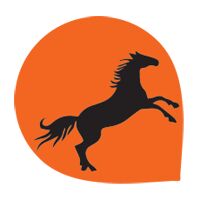 Website Development Services