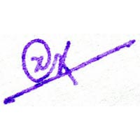 Online Money Transfer Services