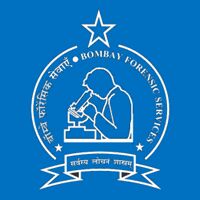 Risk Analysis Service