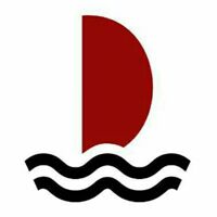 Ladies Cotton T Shirt