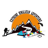 Hotel Booking Agents