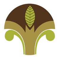 Handloom Cotton Sarees