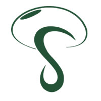 Joint Pain Relief Oil