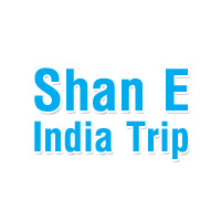 Airline Ticketing Agents