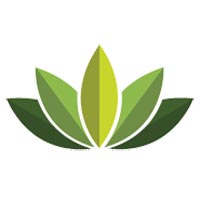 Black Shikakai Powder