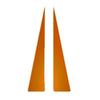 Express Cargo Service