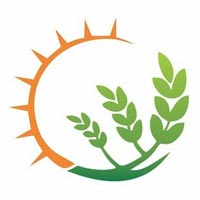 POTENT AGRI EXPORT