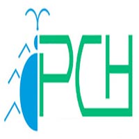 Bed Bug Pest Control