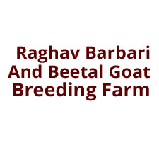 Goat Farming Training Service