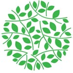 Electric Panel Board