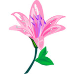 Parachute Jasmine Oil