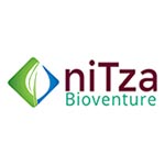 Data Management Services