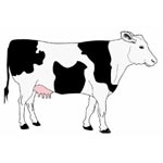 Gulab Eliachi Sharbat