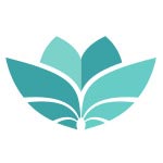 Sewing Machine Accessories